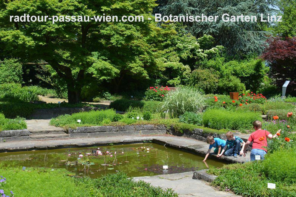 Botanischer Garten in Linz
